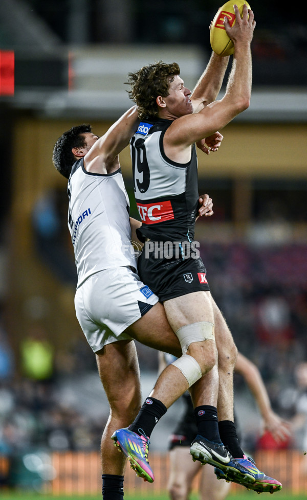 AFL 2025 Round 16 - Port Adelaide v Carlton - A-60217532