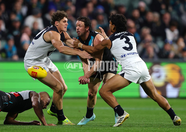 AFL 2025 Round 16 - Port Adelaide v Carlton - A-60217534