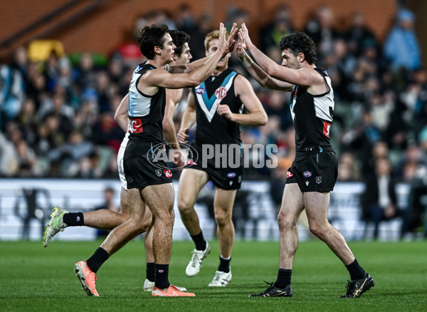 AFL 2025 Round 16 - Port Adelaide v Carlton - A-60217536