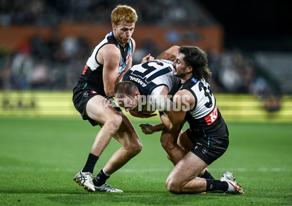 AFL 2025 Round 16 - Port Adelaide v Carlton - A-60217544