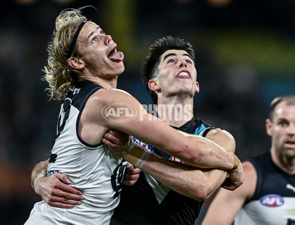 AFL 2025 Round 16 - Port Adelaide v Carlton - A-60217549