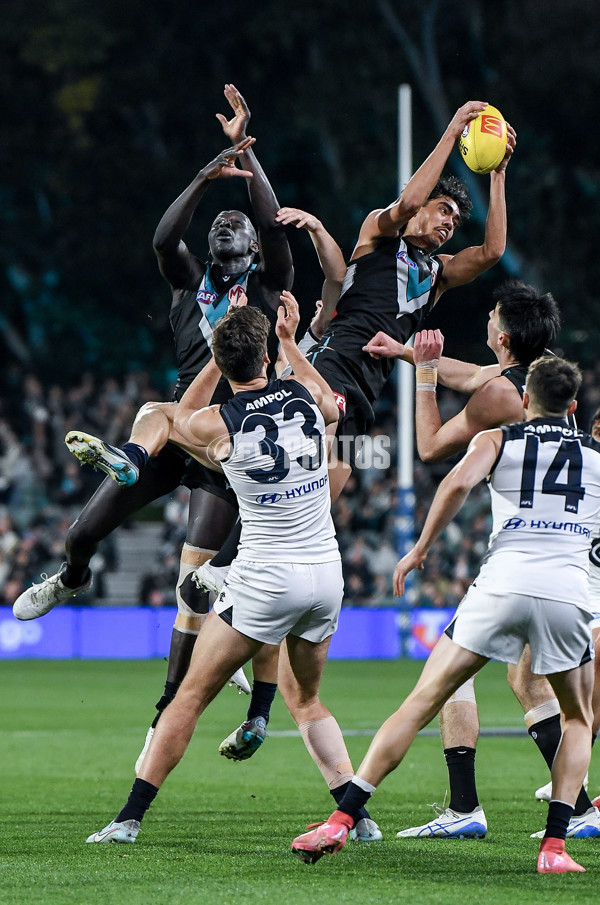 AFL 2025 Round 16 - Port Adelaide v Carlton - A-60217562