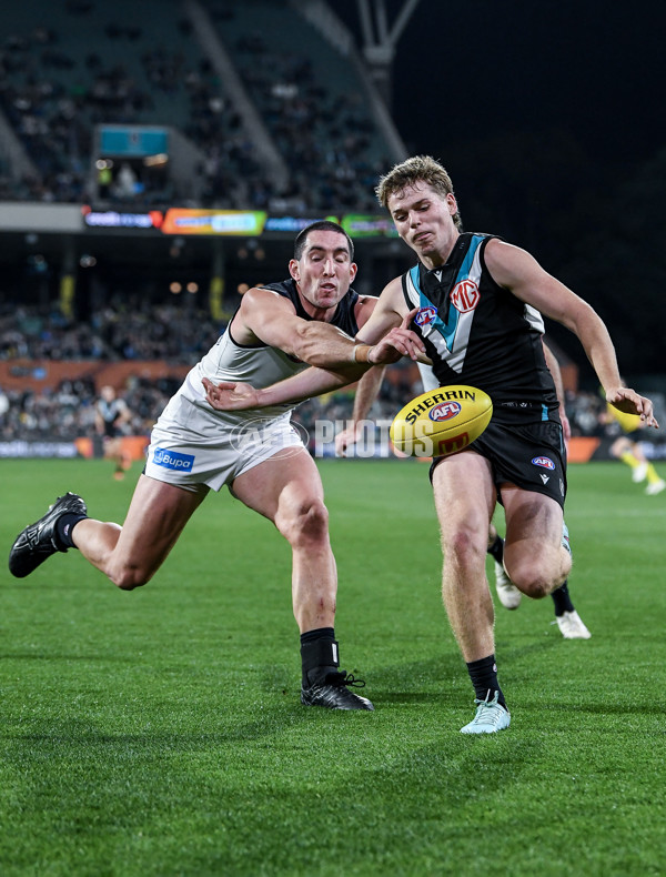AFL 2025 Round 16 - Port Adelaide v Carlton - A-60217564