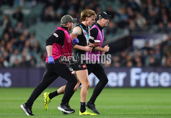 AFL 2025 Round 16 - Port Adelaide v Carlton - A-60217593
