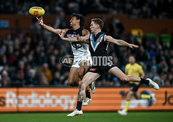AFL 2025 Round 16 - Port Adelaide v Carlton - A-60217605