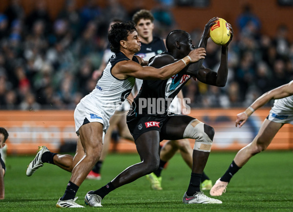 AFL 2025 Round 16 - Port Adelaide v Carlton - A-60217607