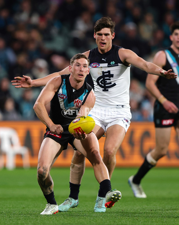 AFL 2025 Round 16 - Port Adelaide v Carlton - A-60219448