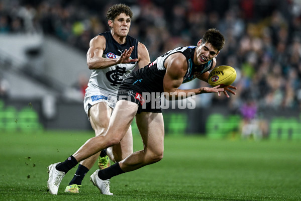 AFL 2025 Round 16 - Port Adelaide v Carlton - A-60219462
