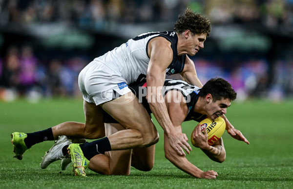 AFL 2025 Round 16 - Port Adelaide v Carlton - A-60219464