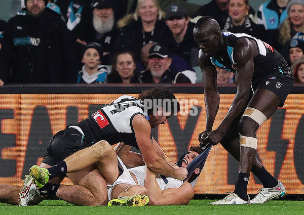 AFL 2025 Round 16 - Port Adelaide v Carlton - A-60219471