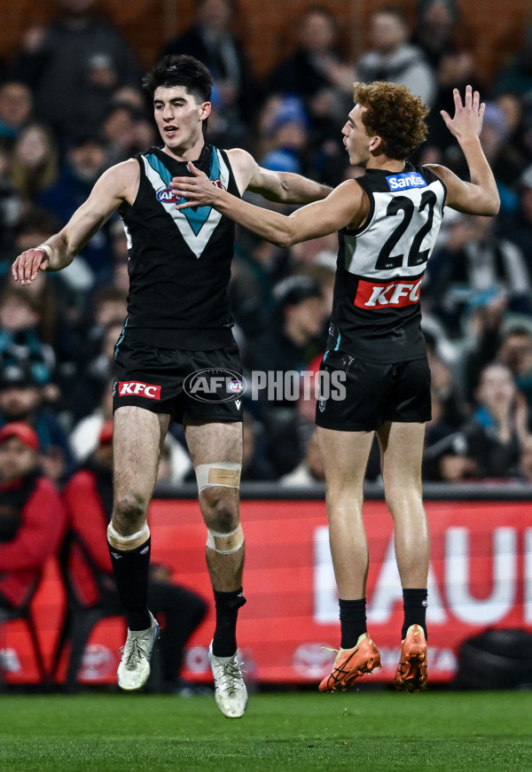 AFL 2025 Round 16 - Port Adelaide v Carlton - A-60219482
