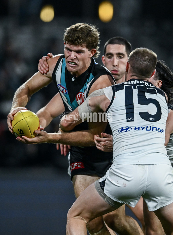 AFL 2025 Round 16 - Port Adelaide v Carlton - A-60219485