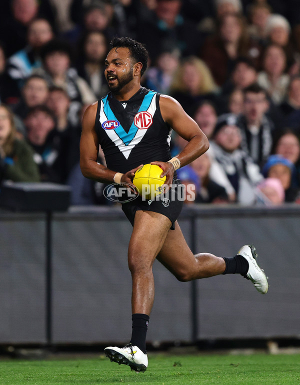 AFL 2025 Round 16 - Port Adelaide v Carlton - A-60219511