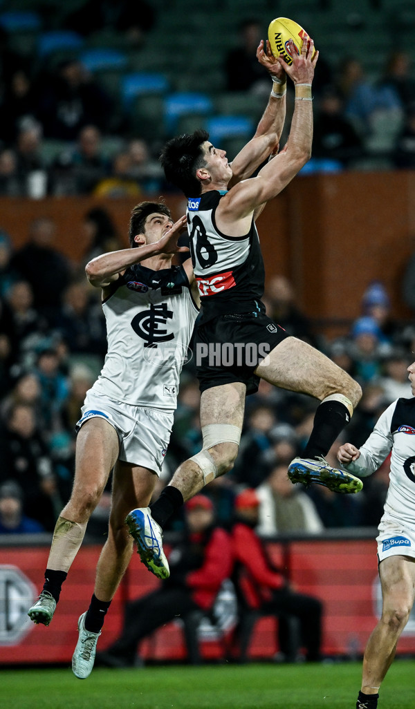 AFL 2025 Round 16 - Port Adelaide v Carlton - A-60219516