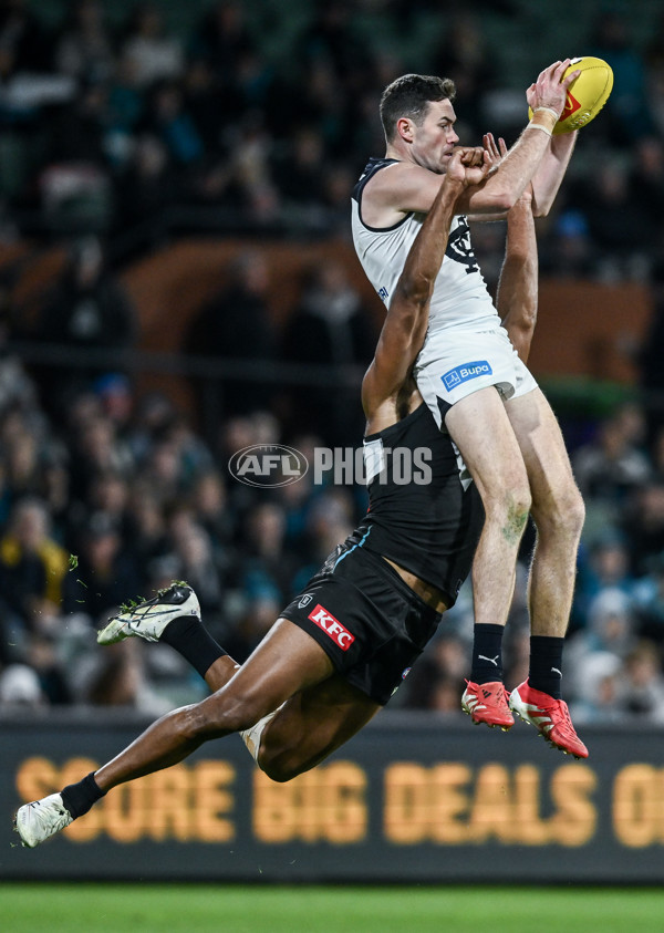 AFL 2025 Round 16 - Port Adelaide v Carlton - A-60220245
