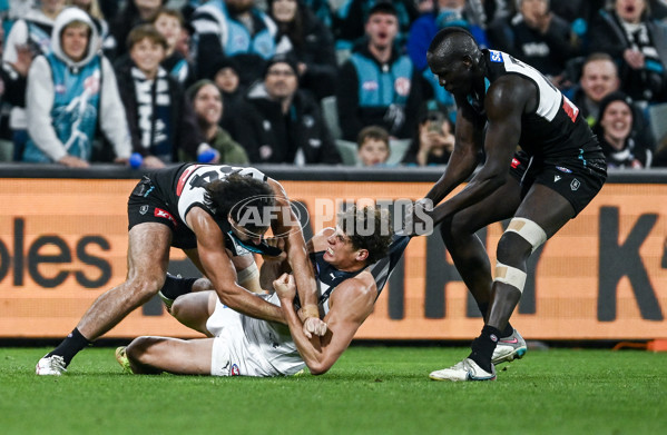 AFL 2025 Round 16 - Port Adelaide v Carlton - A-60220250