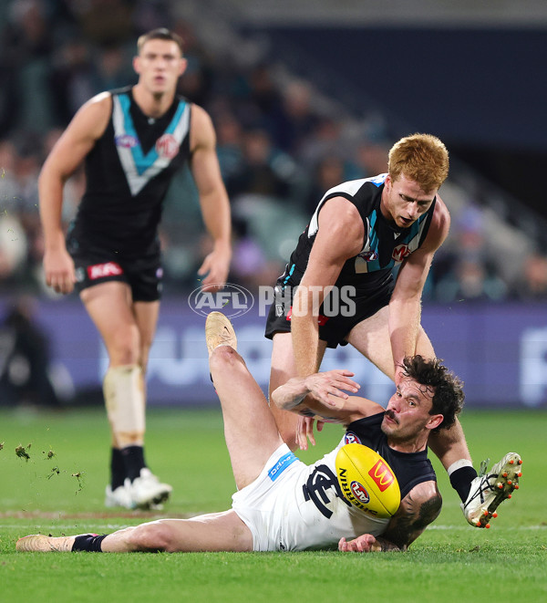 AFL 2025 Round 16 - Port Adelaide v Carlton - A-60220251