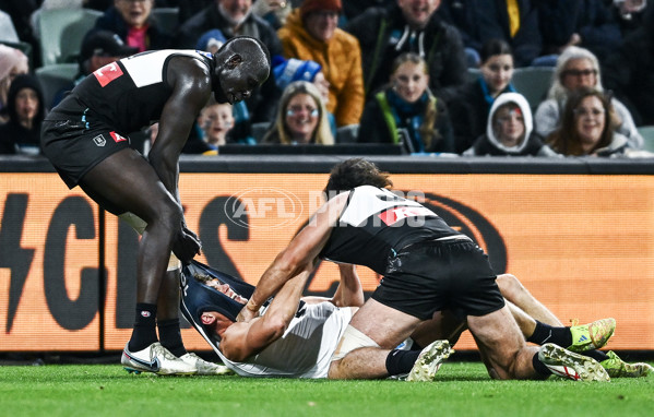 AFL 2025 Round 16 - Port Adelaide v Carlton - A-60220252