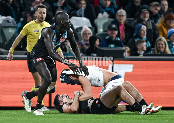 AFL 2025 Round 16 - Port Adelaide v Carlton - A-60220255