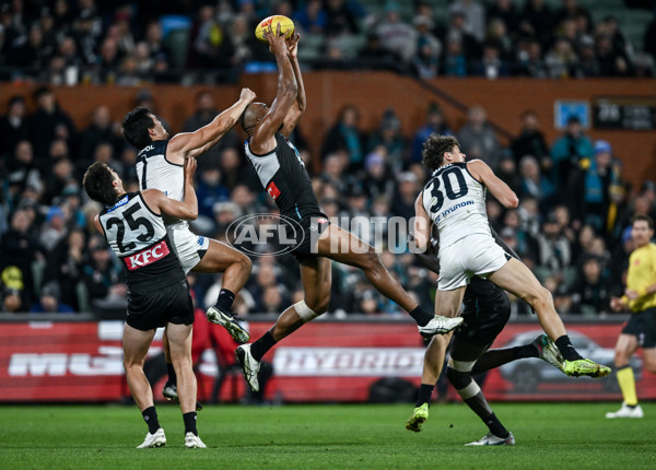 AFL 2025 Round 16 - Port Adelaide v Carlton - A-60220258