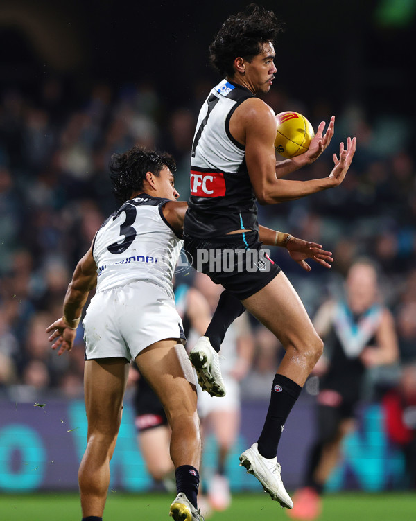 AFL 2025 Round 16 - Port Adelaide v Carlton - A-60220280