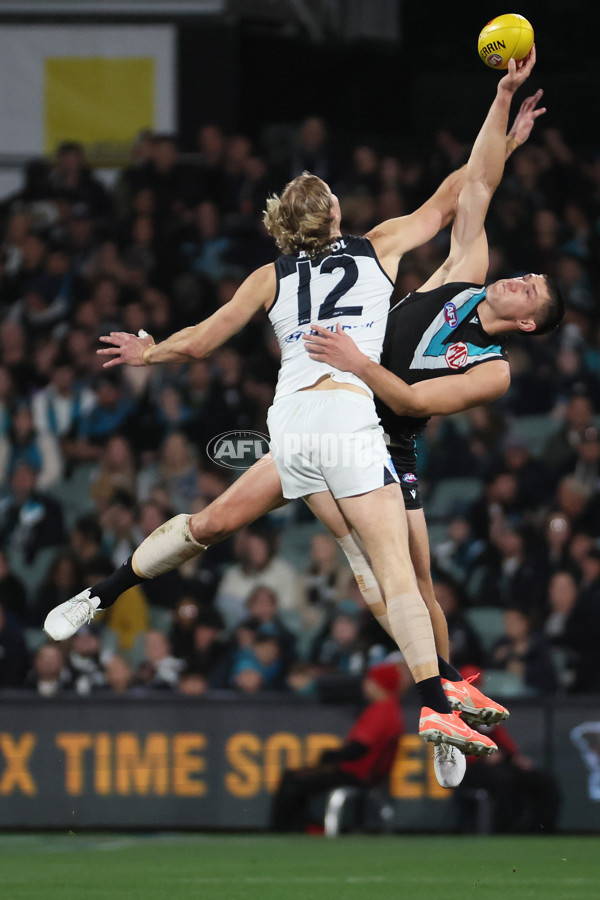 AFL 2025 Round 16 - Port Adelaide v Carlton - A-60220337