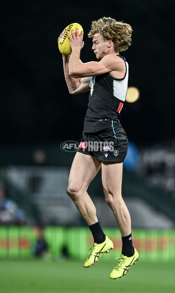 AFL 2025 Round 16 - Port Adelaide v Carlton - A-60222062