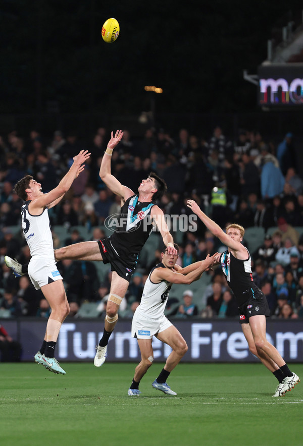 AFL 2025 Round 16 - Port Adelaide v Carlton - A-60222073