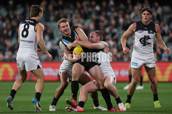 AFL 2025 Round 16 - Port Adelaide v Carlton - A-60222091