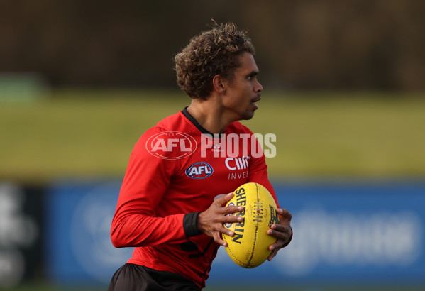AFL 2025 Training - St Kilda 270625 - A-60222113