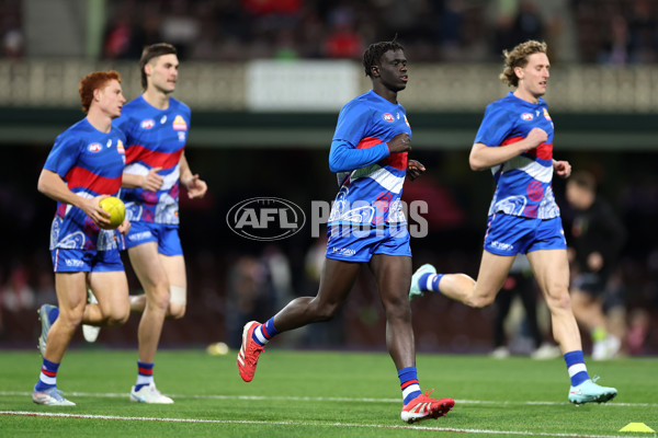 AFL 2025 Round 16 - Sydney v Western Bulldogs - A-60222146