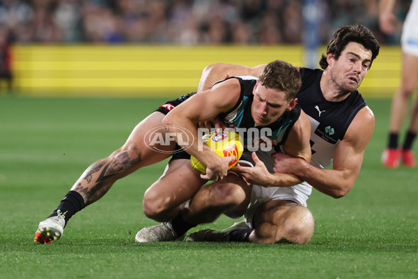 AFL 2025 Round 16 - Port Adelaide v Carlton - A-60222563
