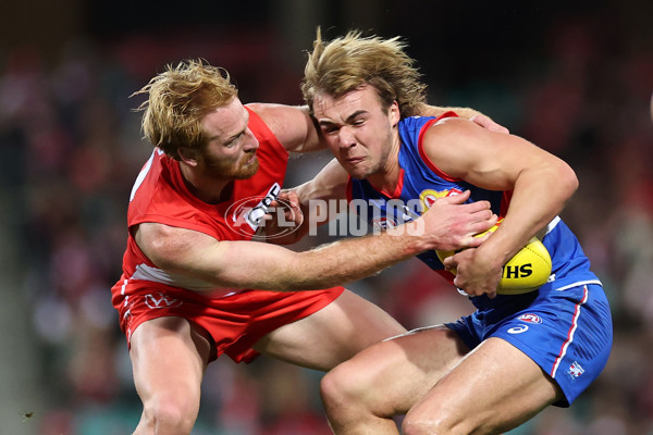 AFL 2025 Round 16 - Sydney v Western Bulldogs - A-60230405