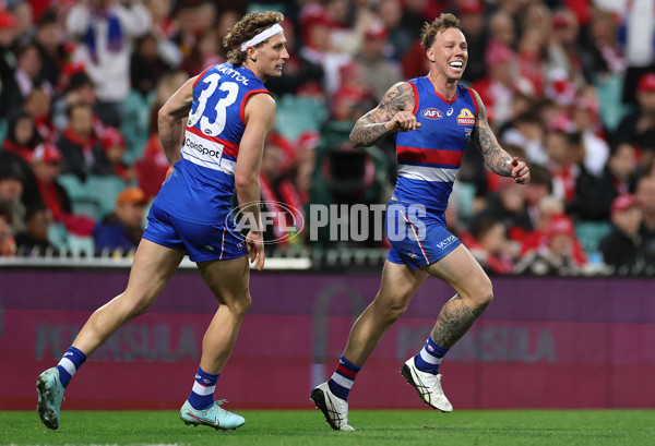 AFL 2025 Round 16 - Sydney v Western Bulldogs - A-60232374