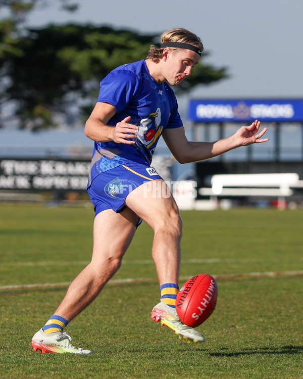VFL 2025 Round 14 - Williamstown v Sandringham - A-60238209