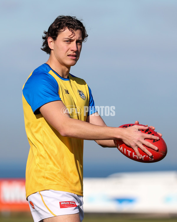 VFL 2025 Round 14 - Williamstown v Sandringham - A-60239661