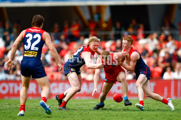 AFL 2025 Round 16 - Gold Coast v Melbourne - A-60239711