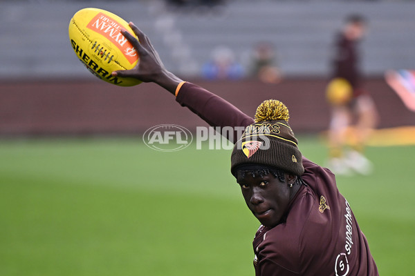 AFL 2025 Round 16 - Hawthorn v North Melbourne - A-60245240