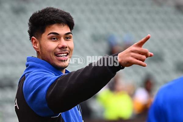 AFL 2025 Round 16 - Hawthorn v North Melbourne - A-60245916