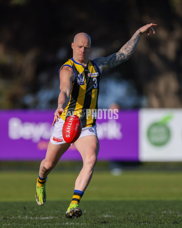 VFL 2025 Round 14 - Williamstown v Sandringham - A-60245994