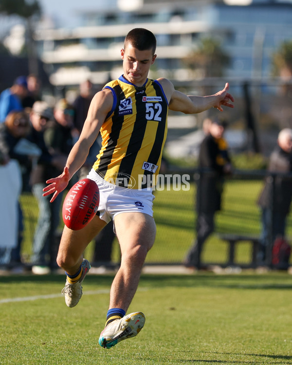 VFL 2025 Round 14 - Williamstown v Sandringham - A-60248058