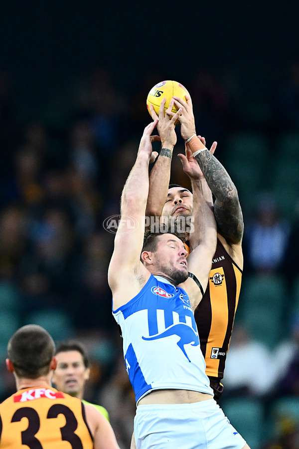 AFL 2025 Round 16 - Hawthorn v North Melbourne - A-60248112