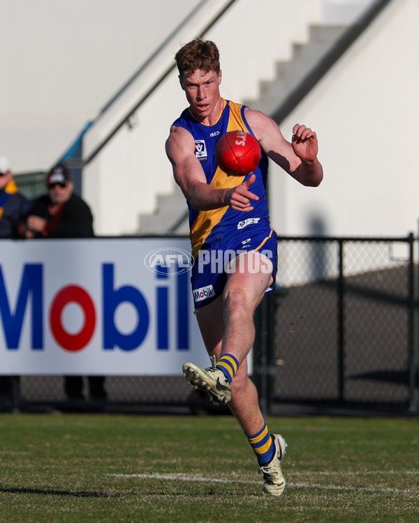 VFL 2025 Round 14 - Williamstown v Sandringham - A-60249029
