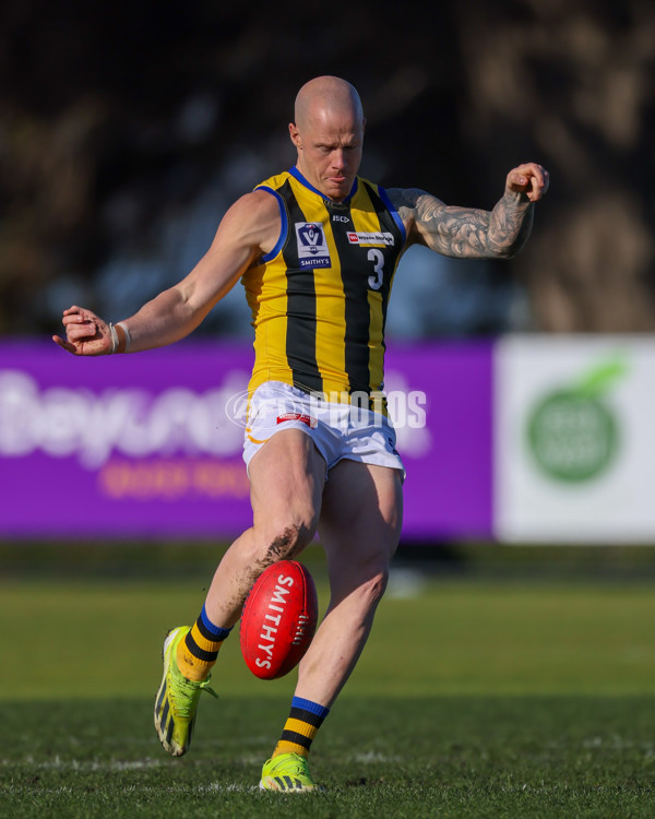 VFL 2025 Round 14 - Williamstown v Sandringham - A-60249032