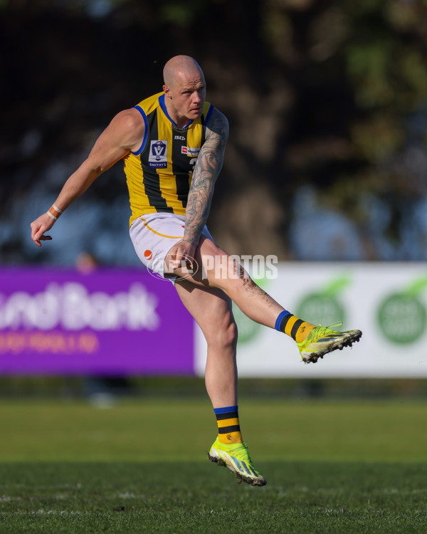 VFL 2025 Round 14 - Williamstown v Sandringham - A-60249034