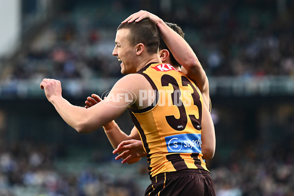 AFL 2025 Round 16 - Hawthorn v North Melbourne - A-60249090