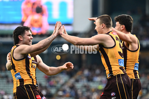 AFL 2025 Round 16 - Hawthorn v North Melbourne - A-60249091