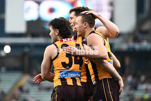 AFL 2025 Round 16 - Hawthorn v North Melbourne - A-60249092