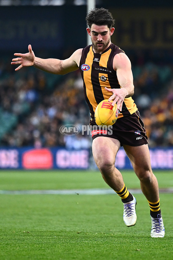 AFL 2025 Round 16 - Hawthorn v North Melbourne - A-60249094