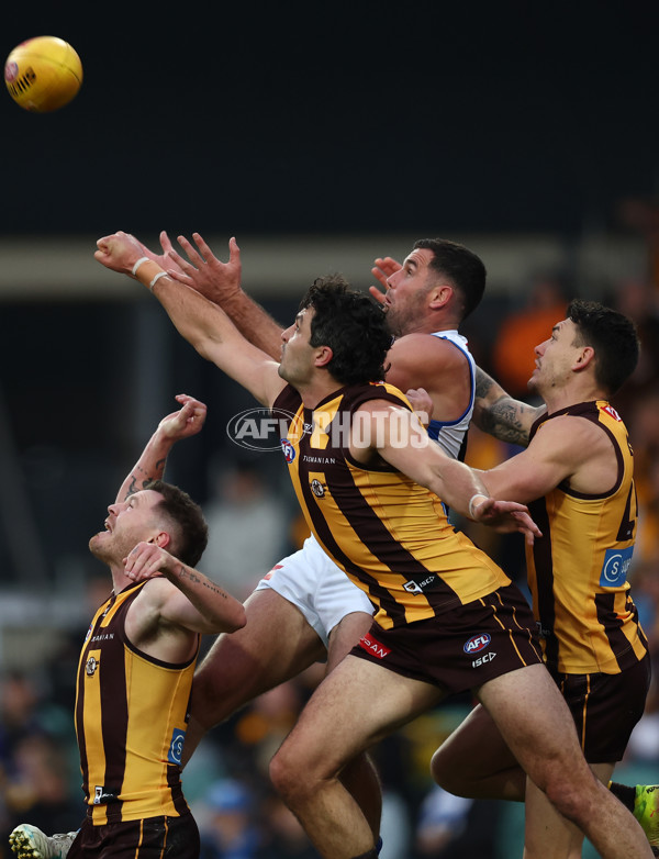 AFL 2025 Round 16 - Hawthorn v North Melbourne - A-60250952